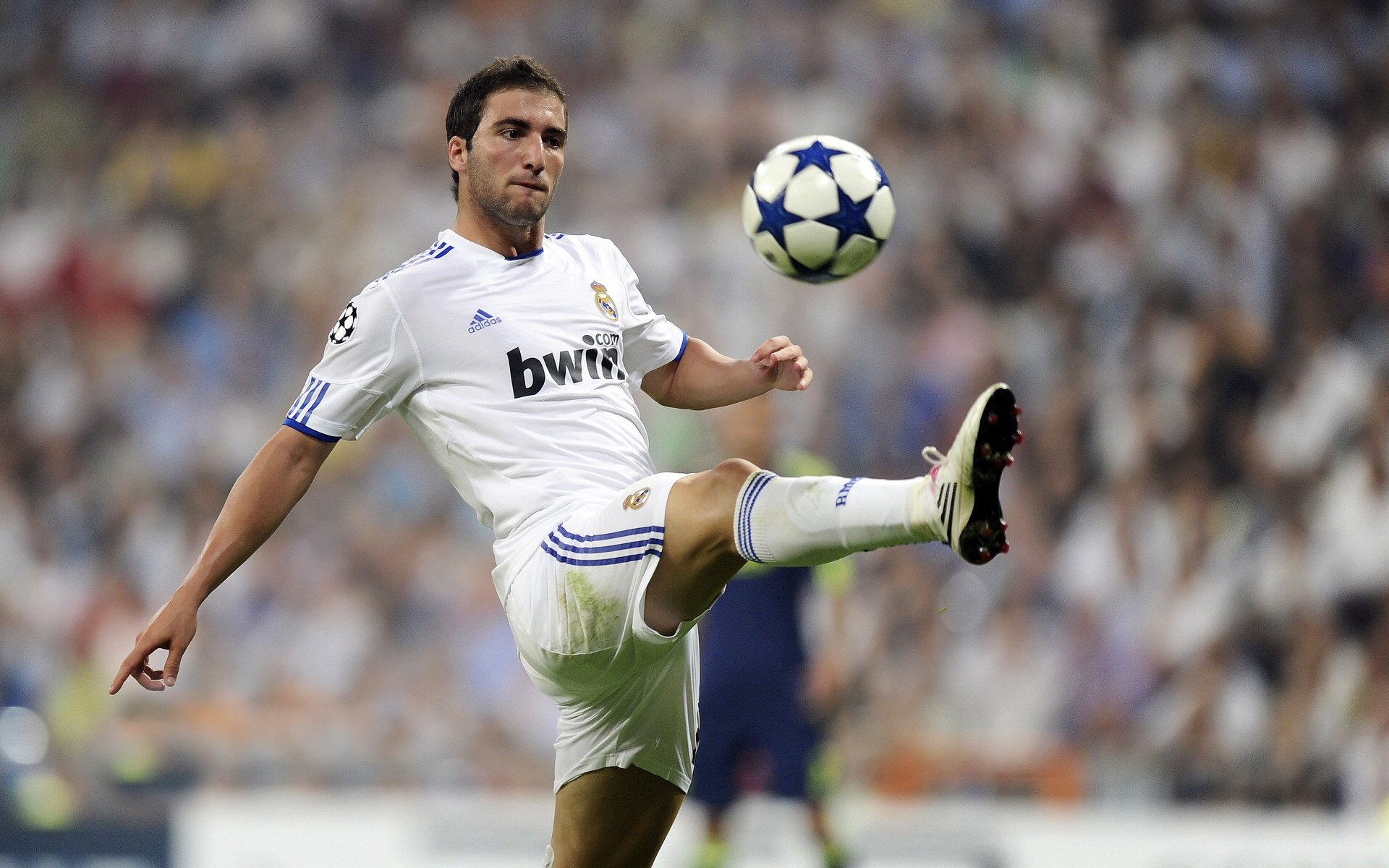 当绿色狂潮吞没蜂群，东契奇里程碑之夜映照联盟的永恒悖论