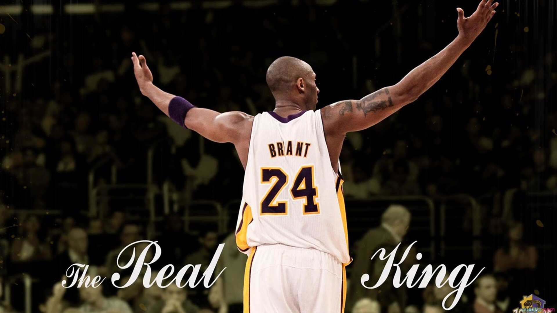 戴维斯杯力克美网，兹维列夫如何以统治级表现重塑网坛叙事